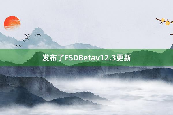 发布了FSDBetav12.3更新
